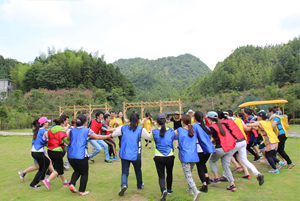 青岛燃煤大户是如何实现