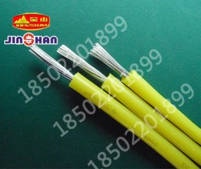 高温电机引出线JG (1)