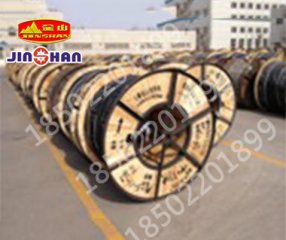 高铁轻轨电缆WDZR-DZY22 (1)